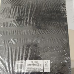 10 Cadernos Brochura Capa Dura Universitário Folhas Numeradas Pepper 50 folhas