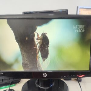 Monitor 19 Polegadas - Apenas Entrada VGA