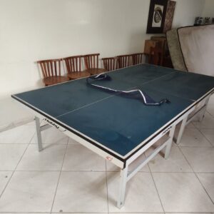 Mesa de Ping Pong - Zerada - Usa pouquíssimas vezes