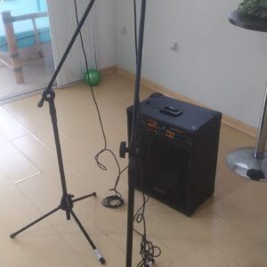 2 Microfones + 2 Pedestais + Caixa de Som
